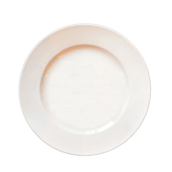Assiettes (prêt)